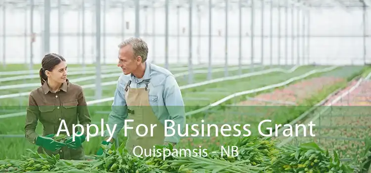 Apply For Business Grant Quispamsis - NB